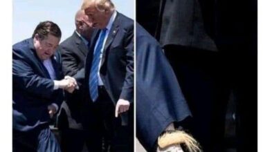 Die socken haben bessere haare als trump