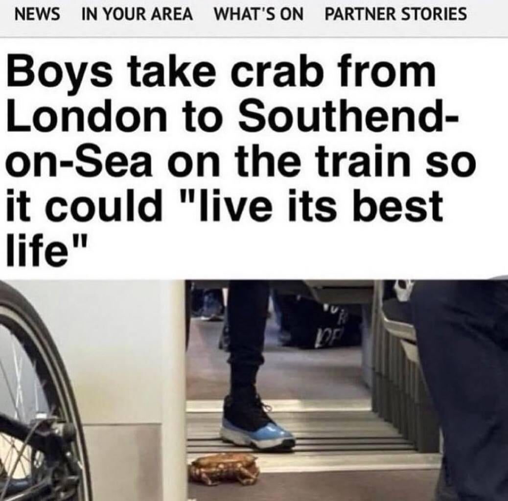 London Crab Dream