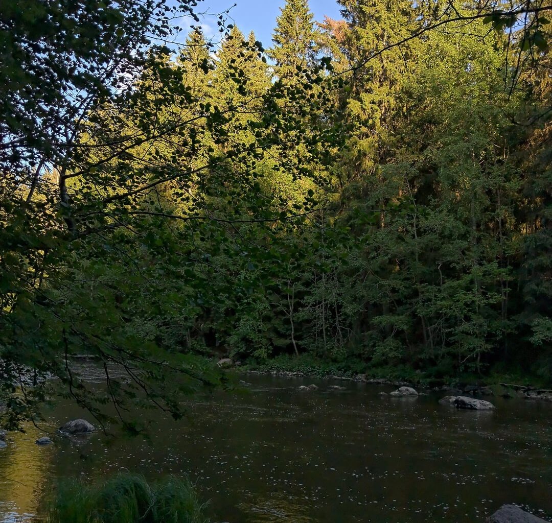 The Vantaa River in Finland [OC]