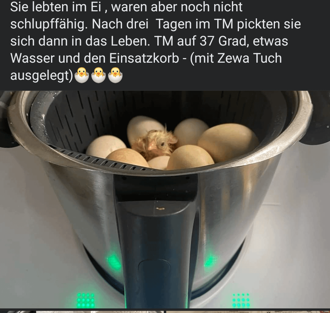 Thermomix Rezept für Küken