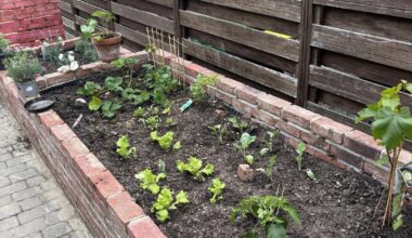 Nach langer Verspätung ist unser selbst gebautes hochbeet auch endlich fertig und bepflanzt