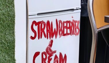 WINBLEDON STRAWBEERIES C CREAM - Z50