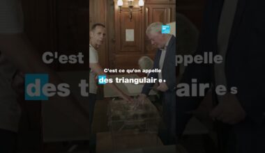 Législatives 2024 : l'enjeu crucial des "triangulaires" • FRANCE 24