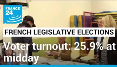 French legislative elections: Voter turnout at 25.9% at midday • FRANCE 24 English