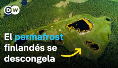 Pantanos que se derriten - ¿Cómo puede la naturaleza frenar el cambio climático? | DW Documental