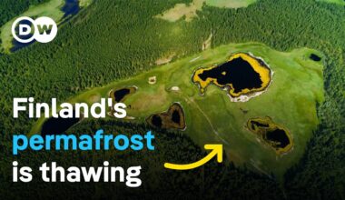 Melting wetlands - How can nature slow down climate change? | DW Documentary