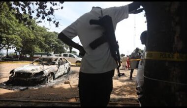 Nigeria : plusieurs morts après des attentats-suicides dans la ville de Gwoza • FRANCE 24