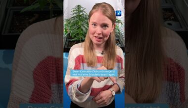 Ab dem 1. Juli können Cannabis-Clubs eine Genehmigung zum Anbau von Hanf beantragen. #tagesschau