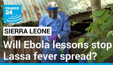 Lassa fever: The deadly disease spreading in Sierra Leone ten years after Ebola • FRANCE 24