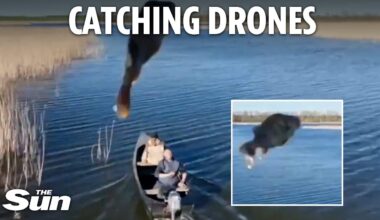 Bizarre moment Ukrainians hurl FISH at Russian drone in defiant act against Putin