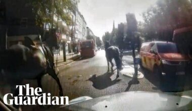 Military horse runs into a car in London after three break loose again