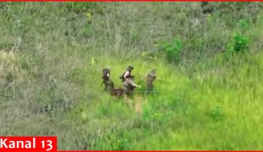 Russian soldiers evacuate their wounded soldiers in an open and mined area