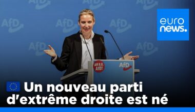 L'AfD et ses alliés forment un nouveau groupe d'extrême droite à Bruxelles | euronews 🇫🇷