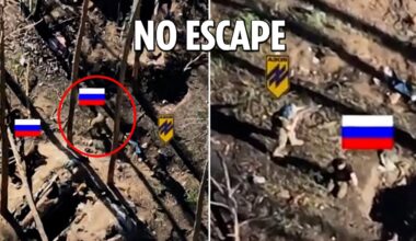 Russian troops scurry to surrender as Ukrainian squad hits them with grenades and gunfire