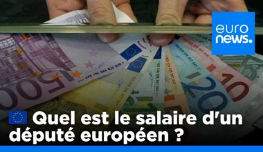 Combien les députés européens sont-ils payés ? | euronews 🇫🇷