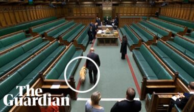 Steve Darling sworn in as MP for Torbay accompanied by his guide dog