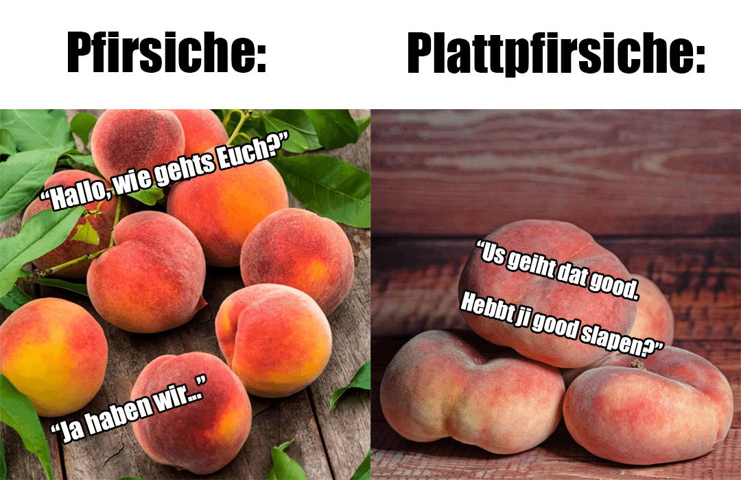 ich🍑iel