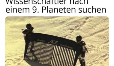 Ich_iel