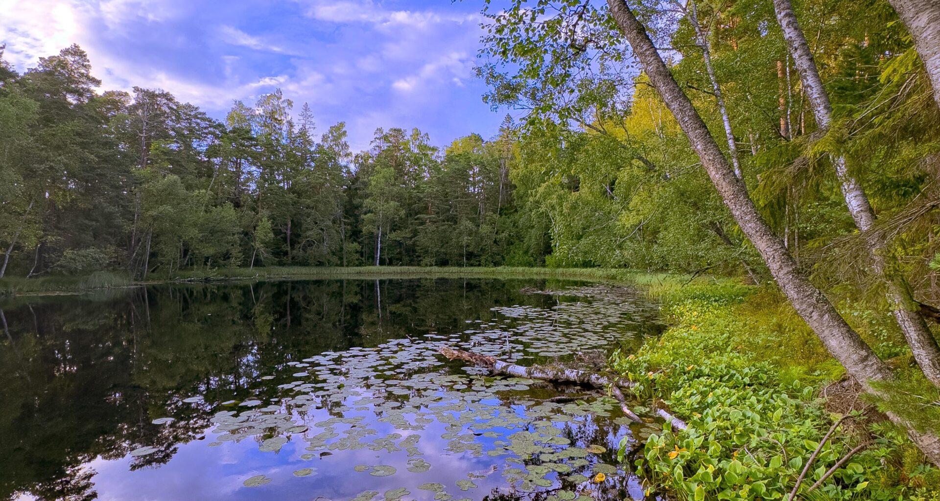 Summer evening , Helsinki