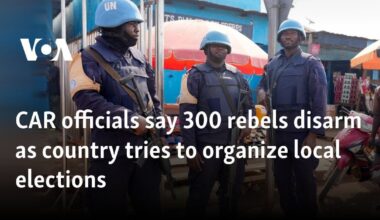 CAR officials say 300 rebels disarm as country tries to organize local elections