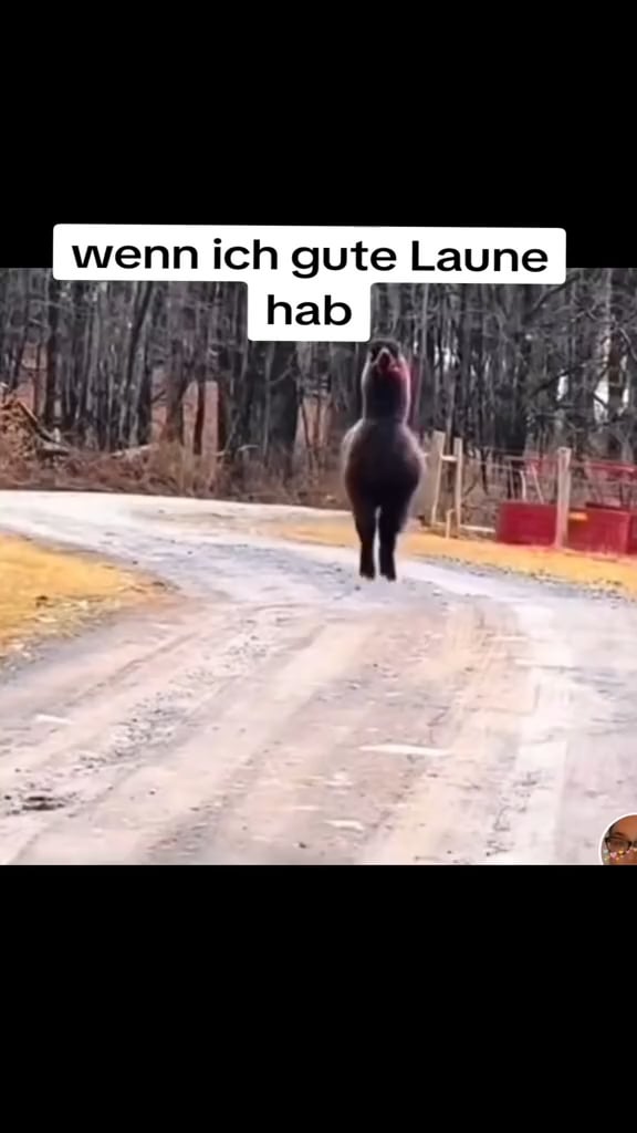 Ween ich gute Laune hab