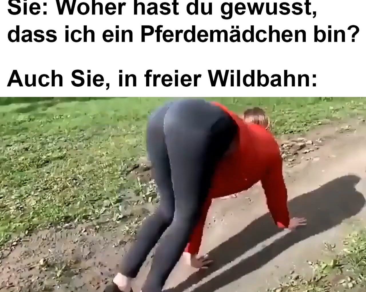 ich🐴iel