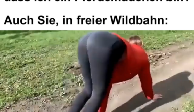 ich🐴iel