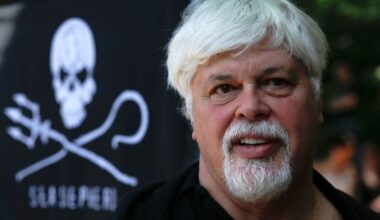 Veteran anti-whaling activist Paul Watson could be extradited to Japan after arrest in Greenland, his foundation says