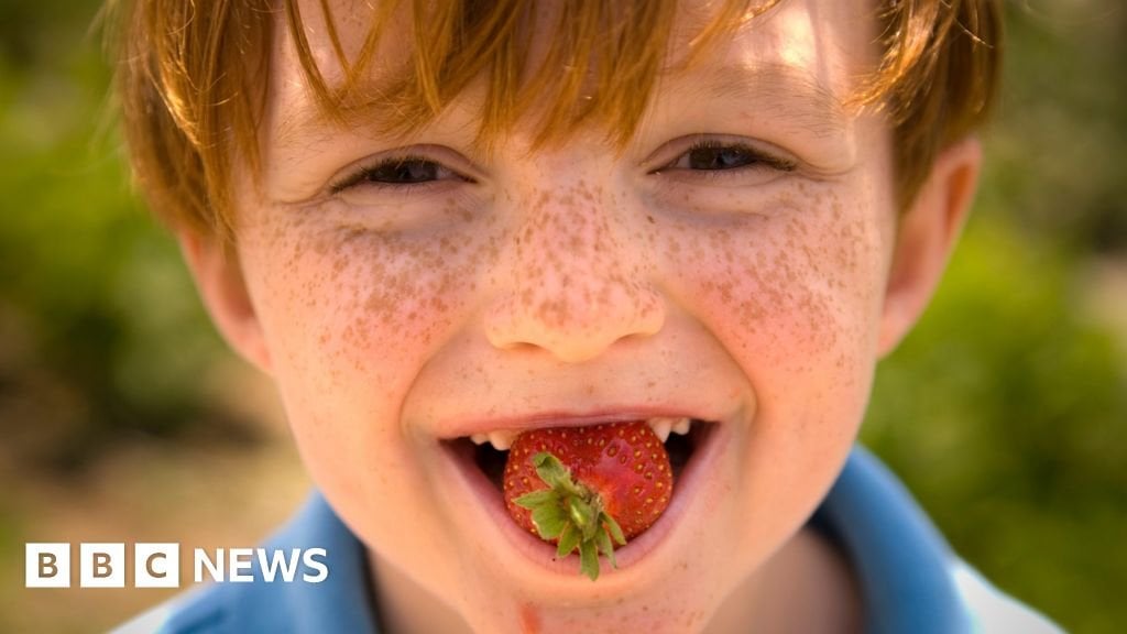 Doing PYO strawberries as a kid it was expected you'd eat some as you picked, that's why they were expensive.