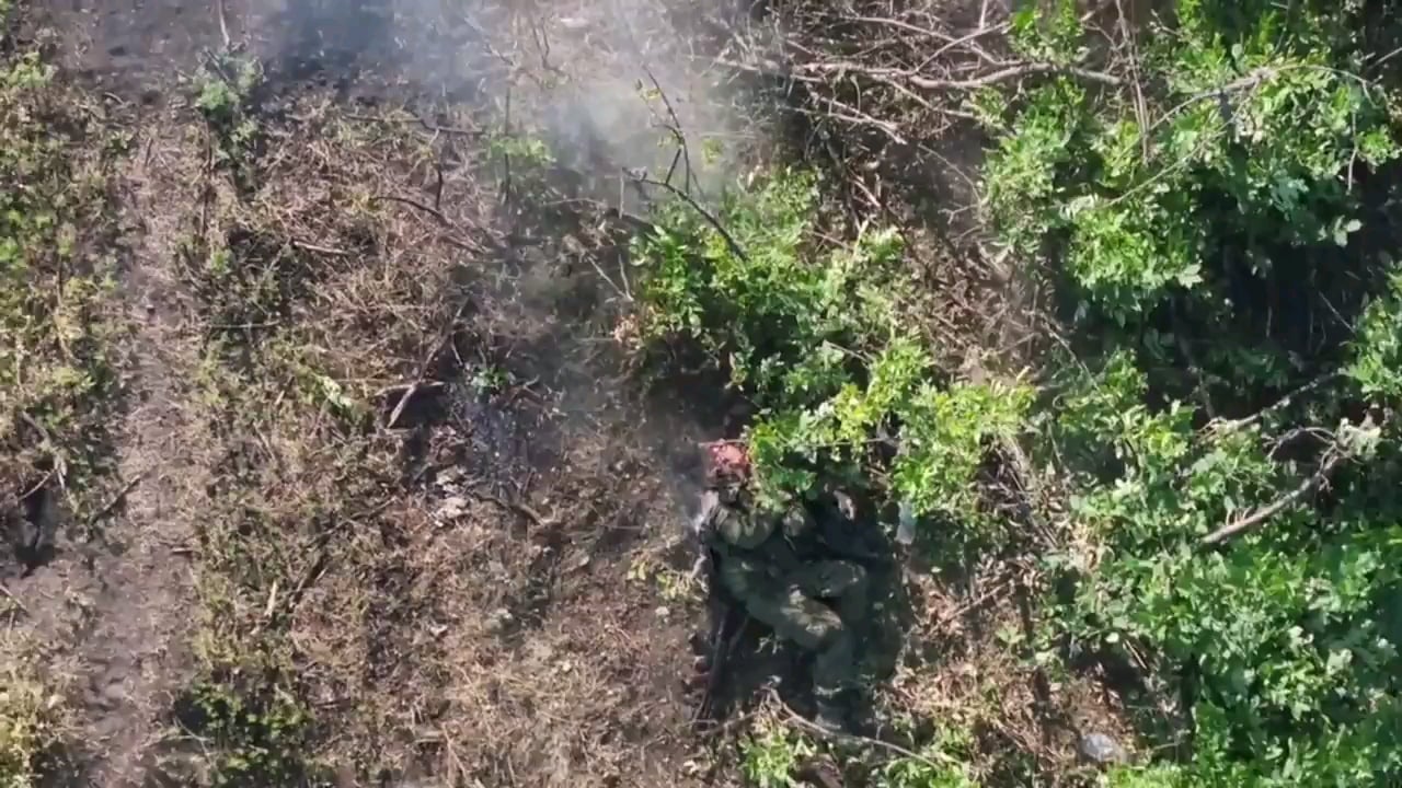 NSFW: Brutal footage of Ukrainian drone dropping ammunition on Russian soldiers in a forest strip, causing serious injuries to the enemies.