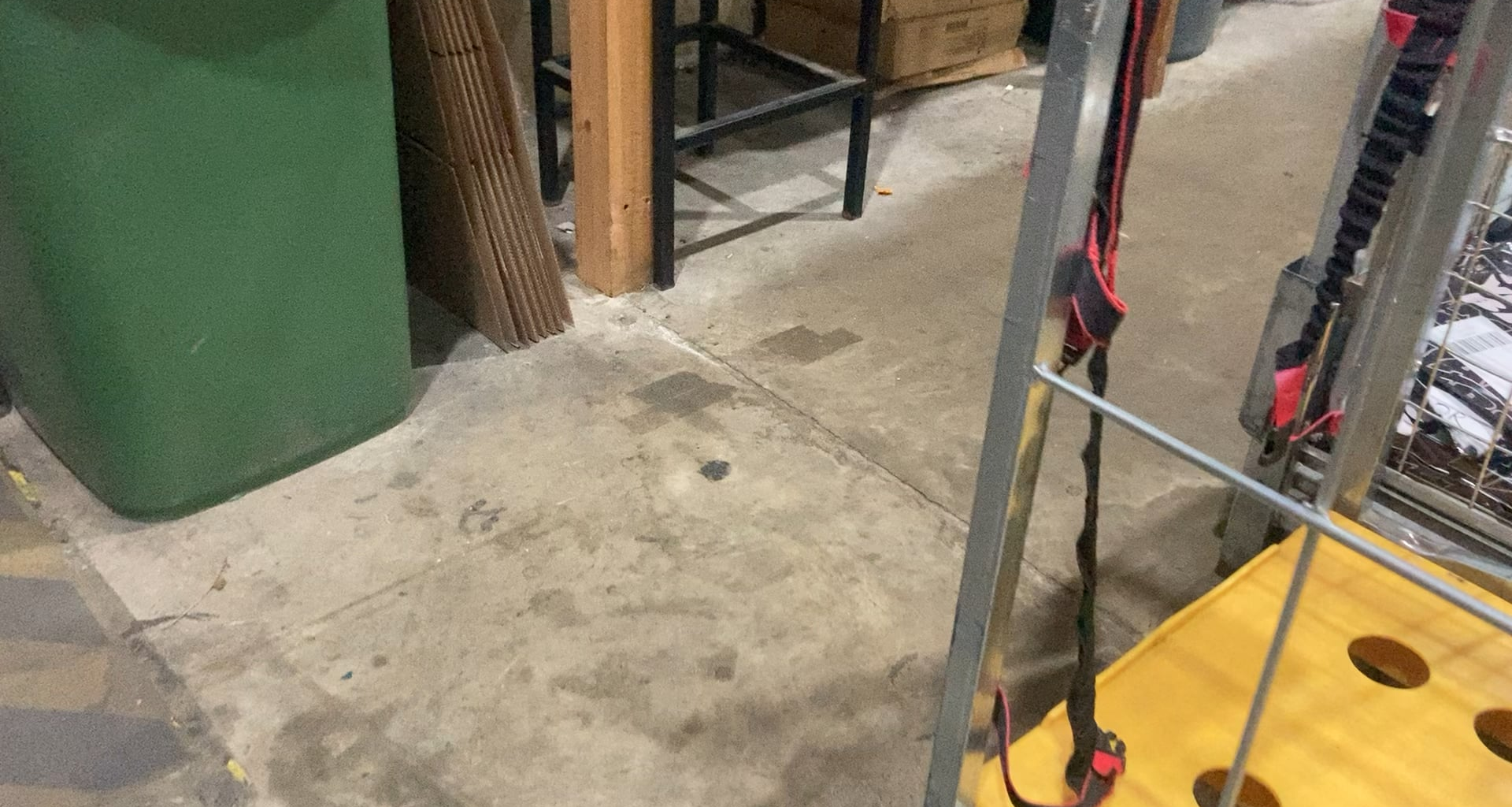 So, We Have A Resident Pigeon In Our Warehouse