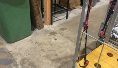 So, We Have A Resident Pigeon In Our Warehouse