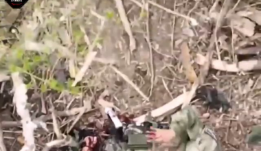 NSFW: Ukrainian UAV Battalion "Bulava" of the 72nd Mechanized Brigade strikes Russian soldiers with dropped grenades and films the brutal afthermath