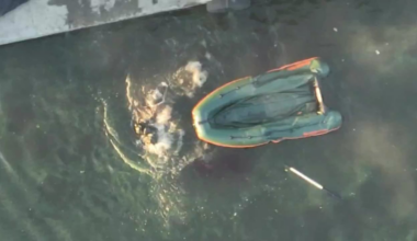 Drone dropped grenade lands directly in the middle of 3 Russian soldiers on a dinghy, all of them fall out and eventually go under. Video by Horskyi Hora.