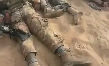 Entire Wagner unit was killed and some mali Soldiers were killed in a failed assault in Tinzahuatin ( Mali )