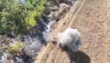 Russian soldier is thrown into the air by drone dropped ammunition