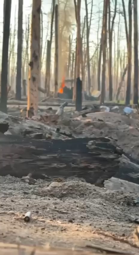 Near Kremennaya, Ukraine, the Bashkir troops of the russian army were defeated. This is the fate of those who fight for russia. They were defeated by Colombian volunteers from the Ukrainian army