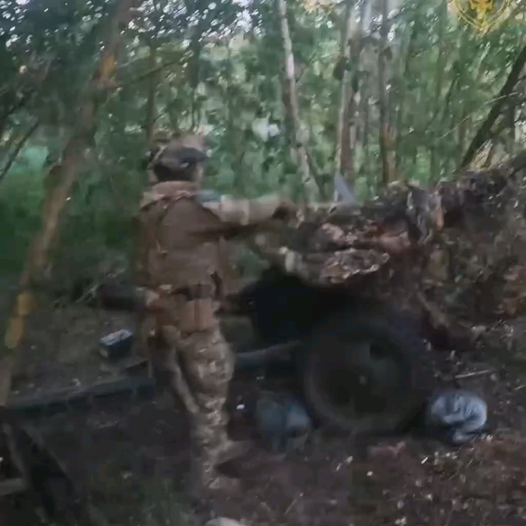 85-mm divisional gun D-44 operating against Russian positions in the Kharkiv front. Dniprovskyi Special Purpose Unit, Ukranian Volunteer Army. June 2024