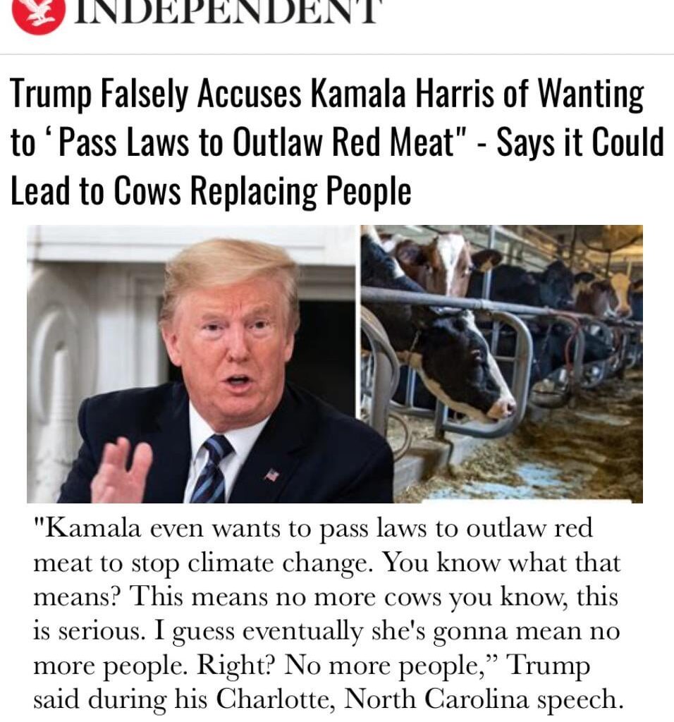 King Ear Motivates Voters With Hamberder Conspiracy