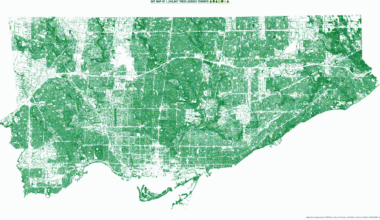 Map of ~1.25 million trees in Toronto [OC]