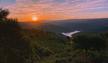 📍Douro Verde, Norte, Portugal (Douro Green Region, Northern Portugal).