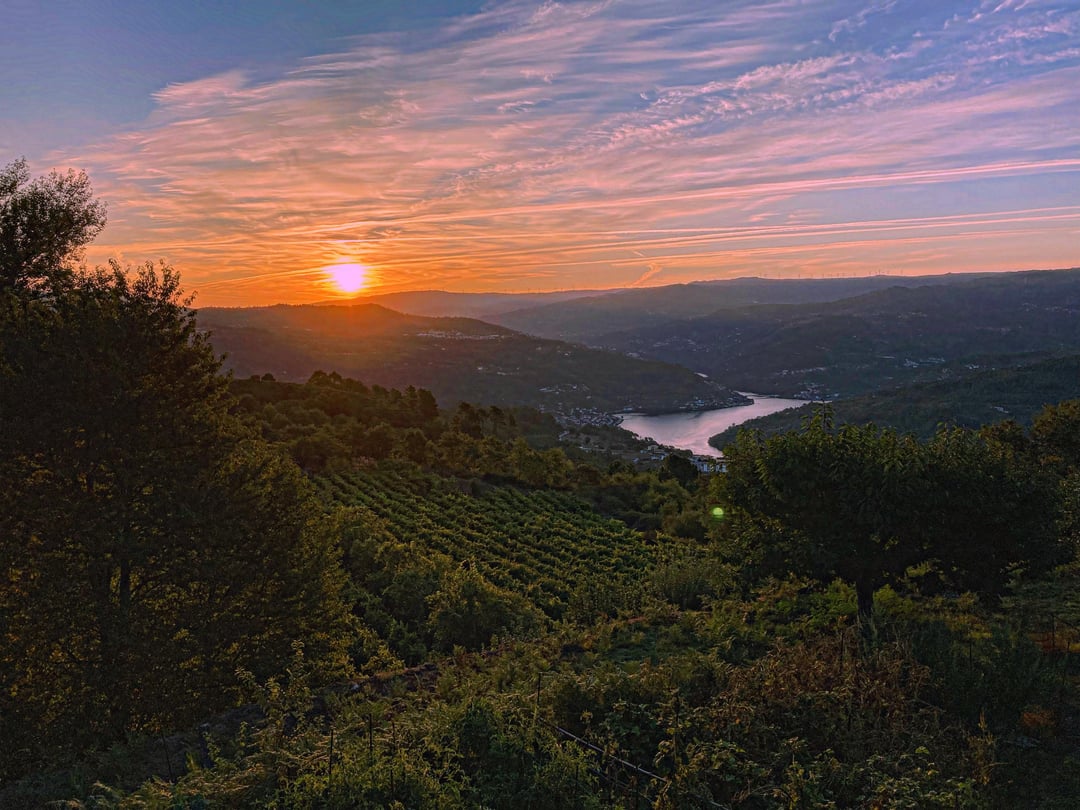 📍Douro Verde, Norte, Portugal (Douro Green Region, Northern Portugal).