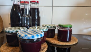 Es ist Brombeerzeit! (Likör und Marmelade)