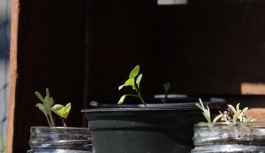 Meine erste Terrasse ❤️✌️