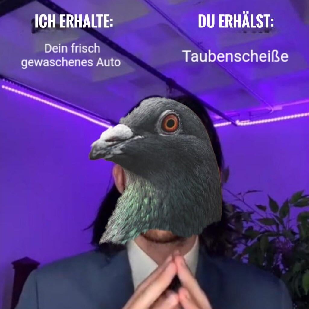 ich🕊️iel