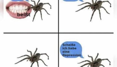 ich🕷️iel