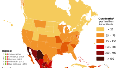 Gun Deaths in North America [OC]