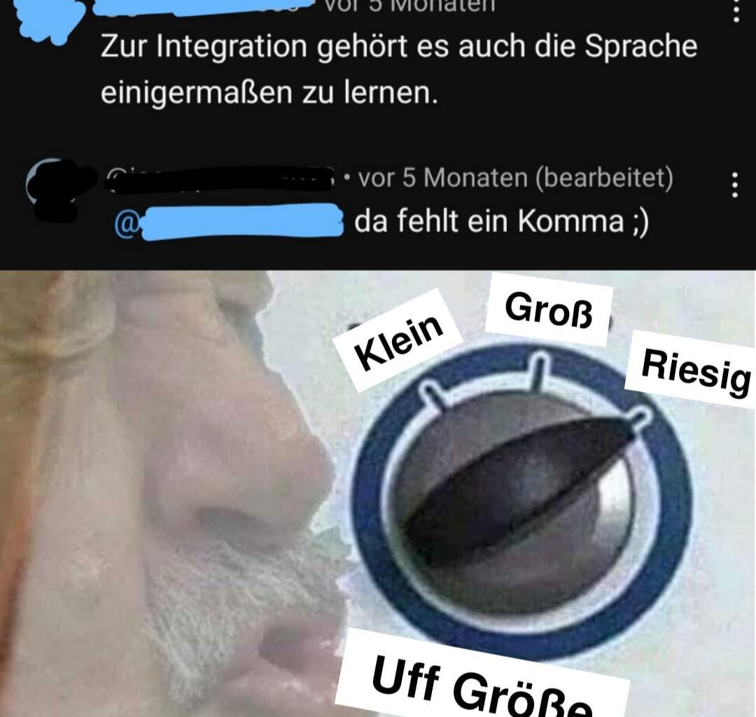 Ich_iel