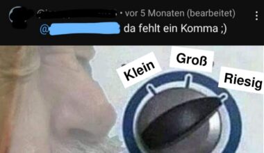 Ich_iel