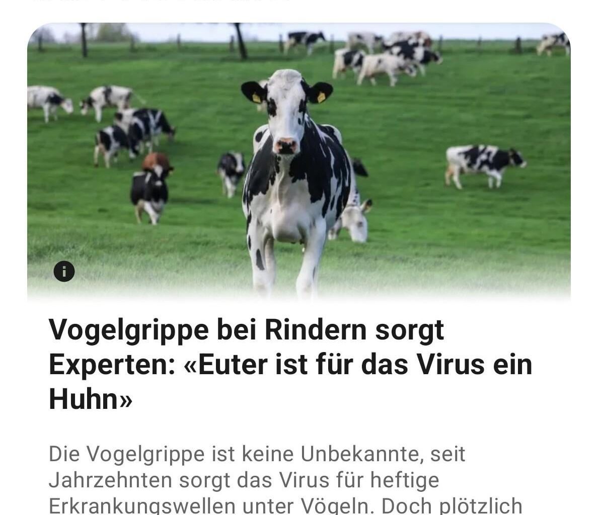 ich_iel